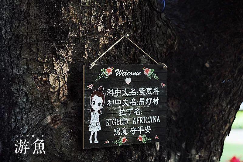 上海街头靓丽精美龙年装饰陆续“上线”迎接农历龙年