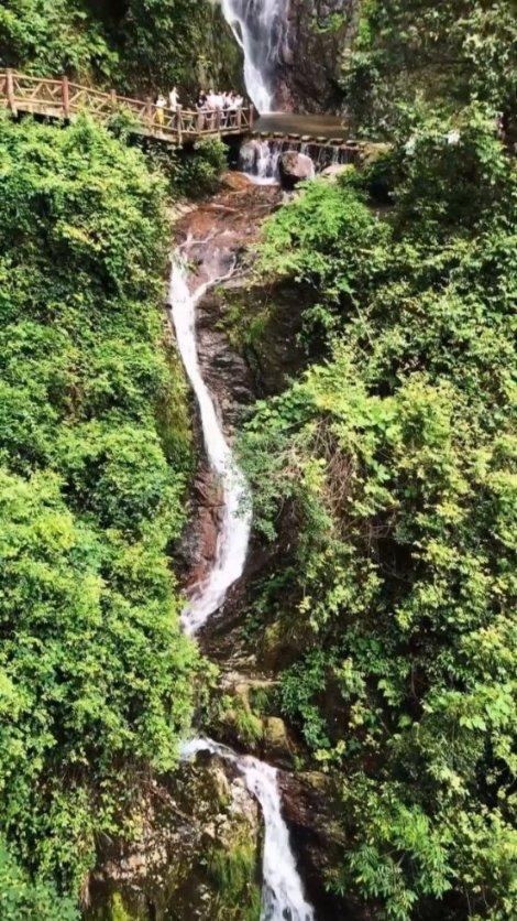 唤醒沉睡的大头